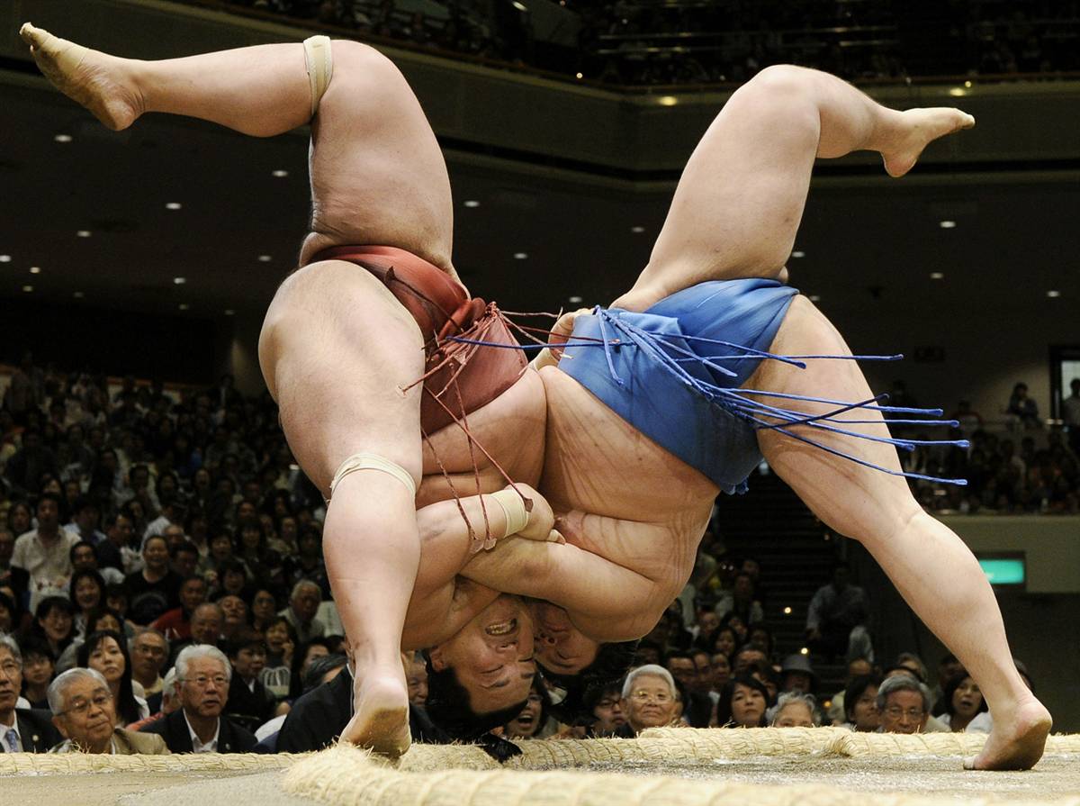 Funny Sumo Pictures