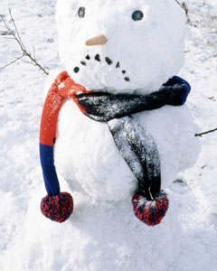 FrostySnowman