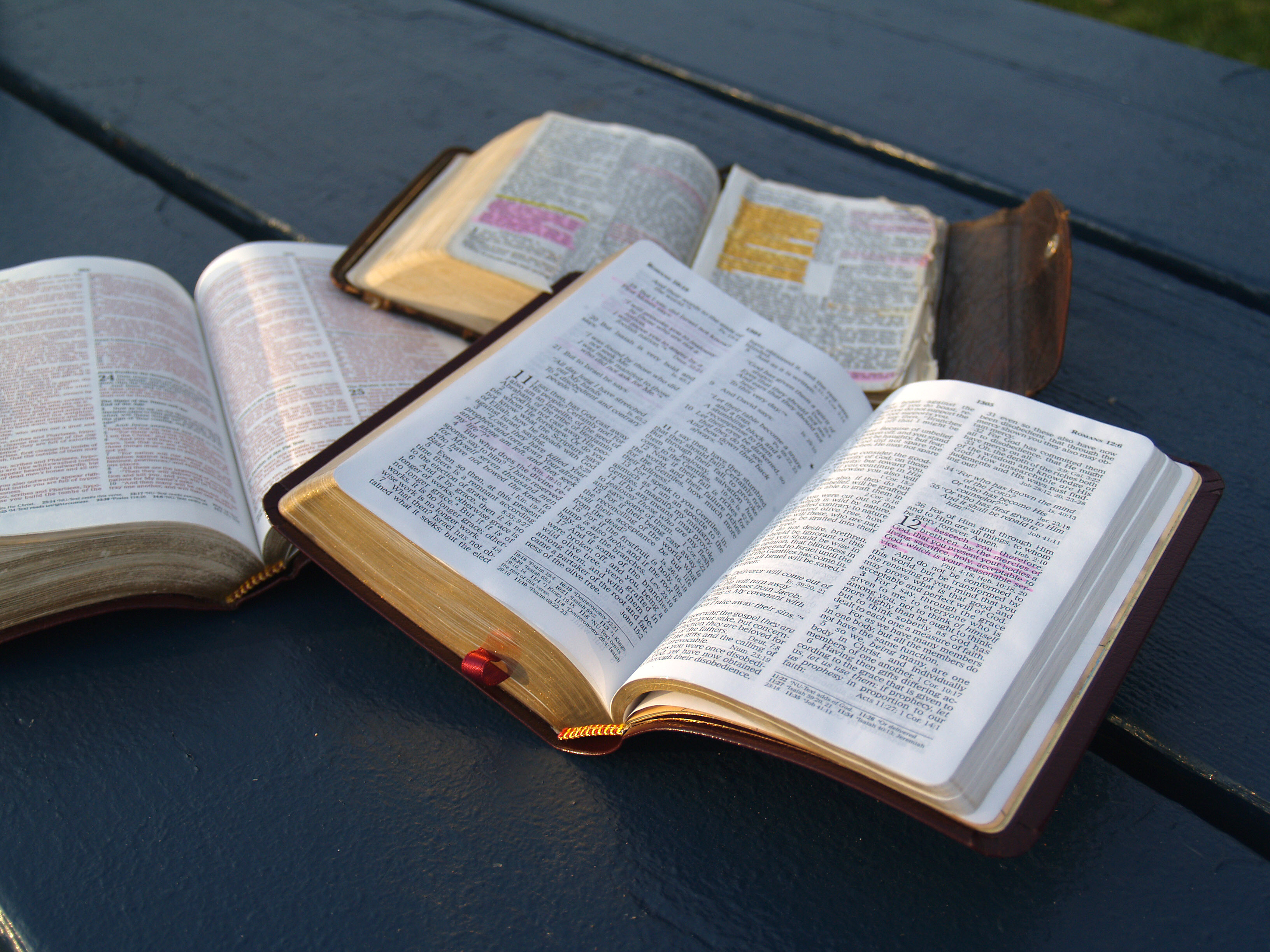 things-you-get-wrong-in-bible-study