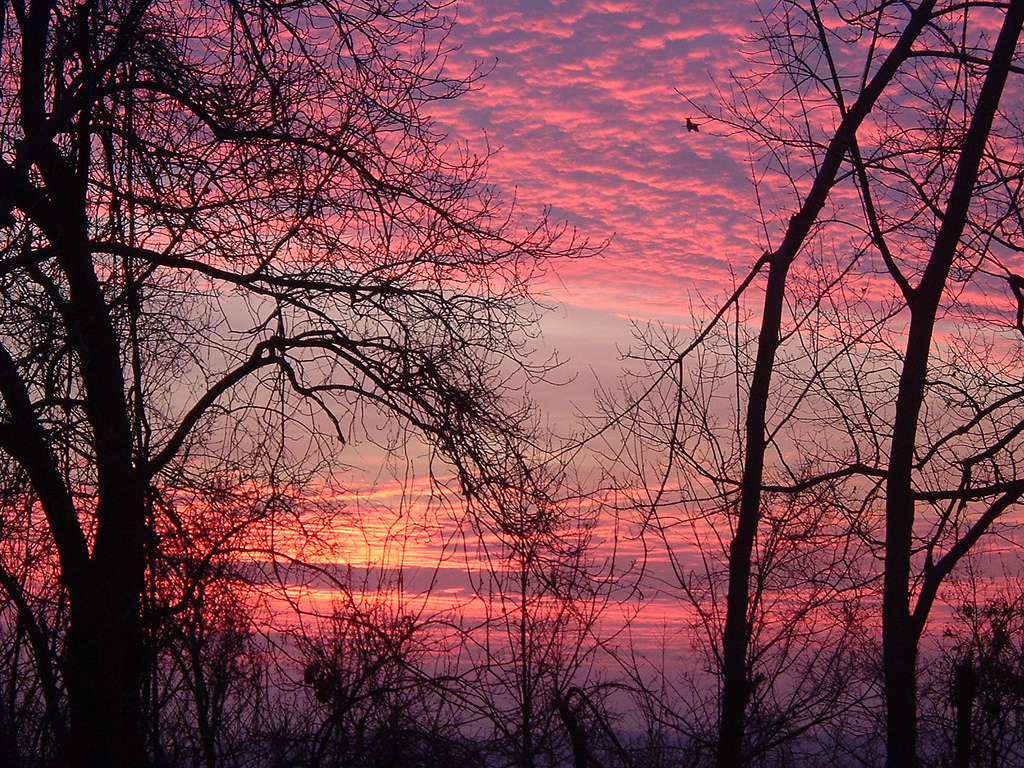 The world on fire