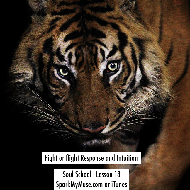 Soul School – Lesson 18 – What you don’t know about Intuition